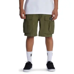 Krátké cargo kalhoty DC Shoes Tundra image-1