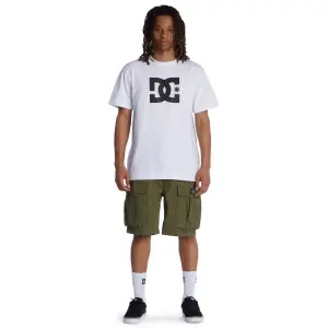 Krátké cargo kalhoty DC Shoes Tundra image-2