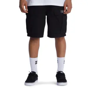 Cargo Shorts DC Shoes Tundra image-1