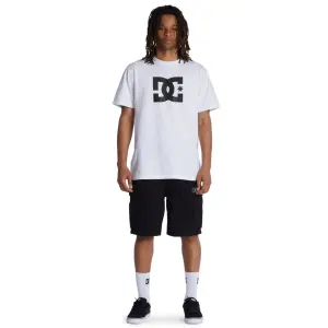 Cargo Shorts DC Shoes Tundra image-2