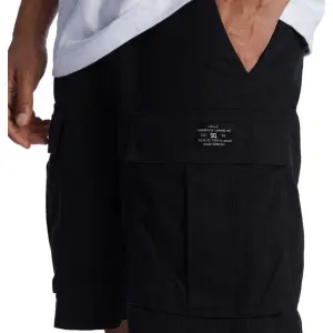 Cargo Shorts DC Shoes Tundra image-6