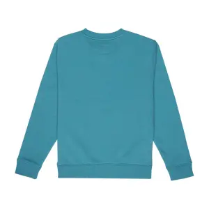 Sweatshirt child DC Shoes Patch It image-1