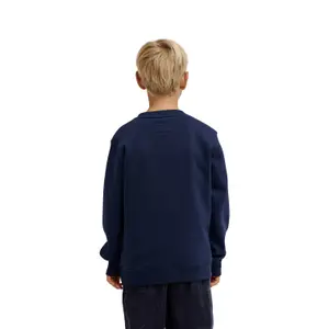 Sweatshirt child DC Shoes Spot Crew image-4