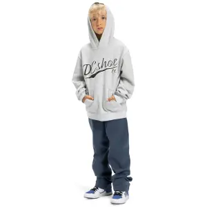 Child hoodie DC Shoes Substitute image-3