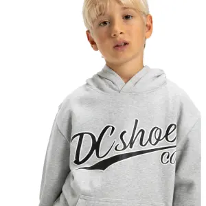 Child hoodie DC Shoes Substitute image-5