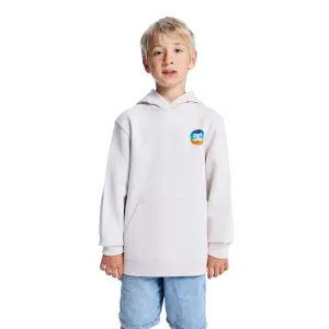 Sweatshirt child DC Shoes Shape Or Destroy image-1