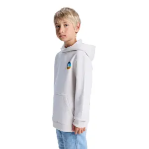 Sweatshirt child DC Shoes Shape Or Destroy image-4