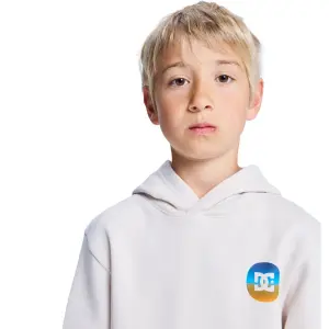 Sweatshirt child DC Shoes Shape Or Destroy image-6