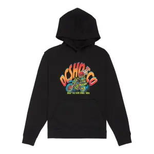 Child hoodie DC Shoes Brap The Ride