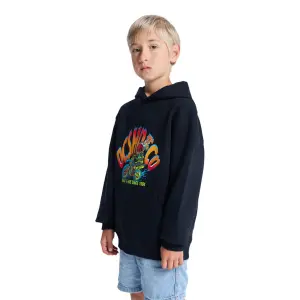 Child hoodie DC Shoes Brap The Ride image-3
