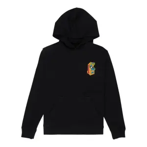 Sweatshirt med huva för barn DC Shoes Insert A Coin