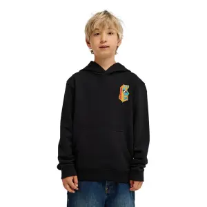 Sweatshirt med huva för barn DC Shoes Insert A Coin image-2