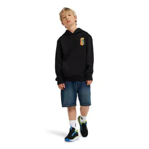 Sweatshirt med huva för barn DC Shoes Insert A Coin image-1