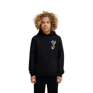 Child hoodie DC Shoes Handplant PH image-2