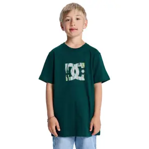 Παιδικό μπλουζάκι DC Shoes Star Filled image-1