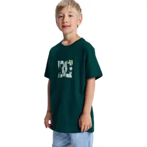 Παιδικό μπλουζάκι DC Shoes Star Filled image-2