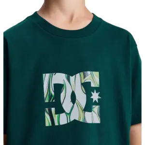 Παιδικό μπλουζάκι DC Shoes Star Filled image-5