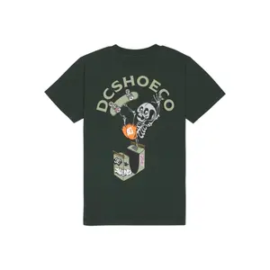 Children's T-shirt DC Shoes Handplant HSS image-2