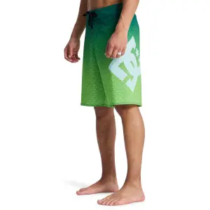 Surfshorts DC Shoes Lanai 21 image-5