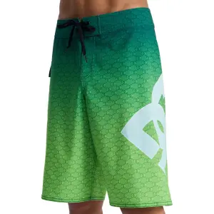 Surfshorts DC Shoes Lanai 21 image-6