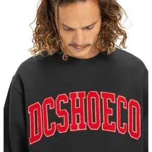 Sweatshirt DC Shoes Varsity image-6