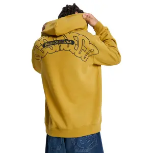 Hooded Sweatshirt DC Shoes Omega image-4
