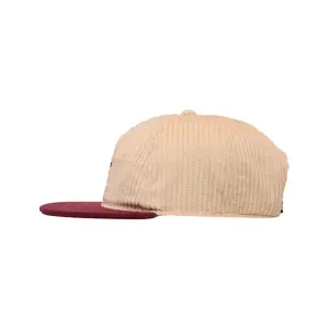Snapback cap DC Shoes Skull Star image-1