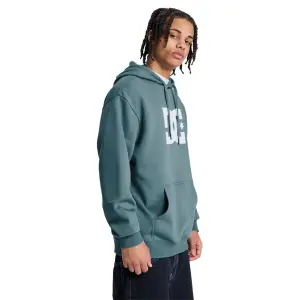 Sweatshirt med huva DC Shoes Star image-5
