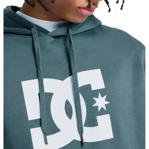Sweatshirt med huva DC Shoes Star image-6