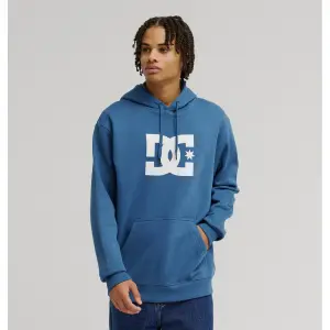 Sweatshirt med huva DC Shoes Star image-3