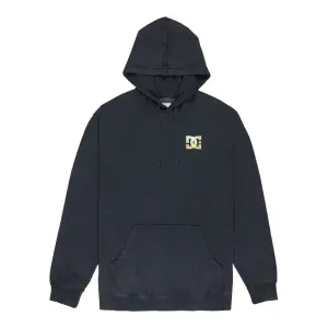 Hooded Sweatshirt DC Shoes Skull Storm image-0