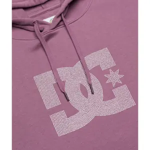 Hooded Sweatshirt DC Shoes Strass Star image-4