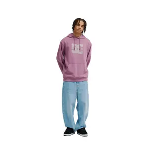 Hooded Sweatshirt DC Shoes Strass Star image-1
