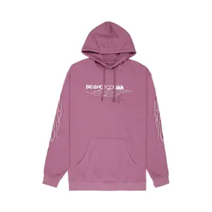 Hooded Sweatshirt DC Shoes Side Flame image-0