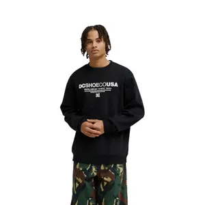 Sweatshirt DC Shoes Heritage Font image-1