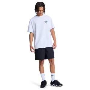Short DC Shoes Flow Down image-1