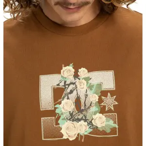 T-shirt DC Shoes Rose And Thorn Star image-5