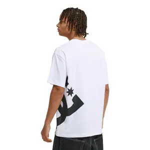 T-shirt DC Shoes Lanai image-2