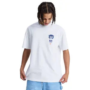 T-shirt DC Shoes Tiger Bite image-1