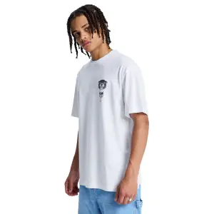 T-shirt DC Shoes Tiger Bite image-5