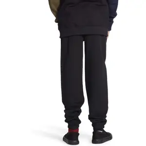 Kids' joggers DC Shoes Clash image-5