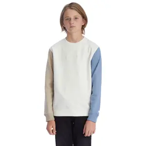 Sweatshirt child DC Shoes Riot 2 Crew image-2