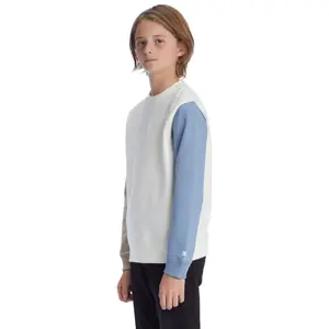 Sweatshirt child DC Shoes Riot 2 Crew image-5