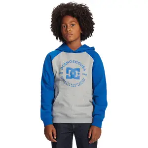 Child hoodie DC Shoes Star Pilot Raglan image-2