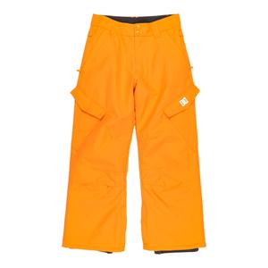 Pantalon de ski enfant DC Shoes Banshee image-0