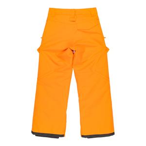 Pantalon de ski enfant DC Shoes Banshee image-3