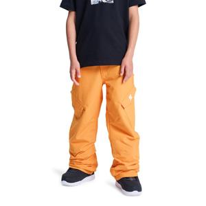 Pantalon de ski enfant DC Shoes Banshee image-4