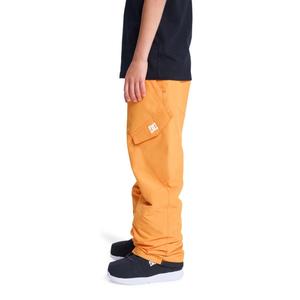 Pantalon de ski enfant DC Shoes Banshee image-5