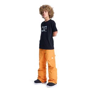 Pantalon de ski enfant DC Shoes Banshee image-6