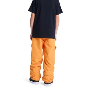 Pantaloni da sci per bambini DC Shoes Banshee image-3